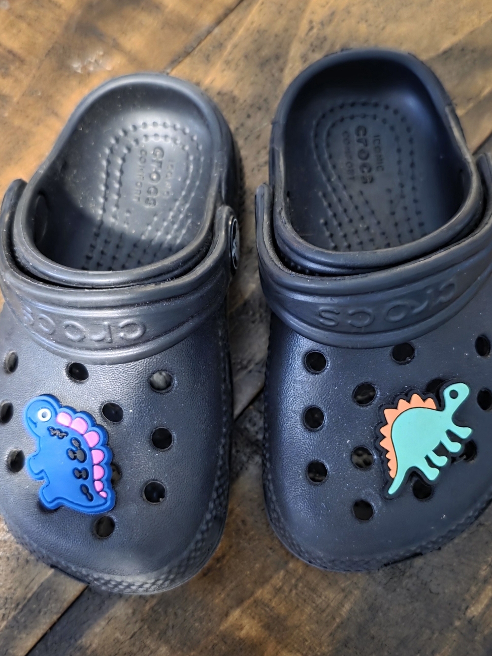 CROCS Kids Black Clogs with Blue and Teal Dinosaur Jibbitz